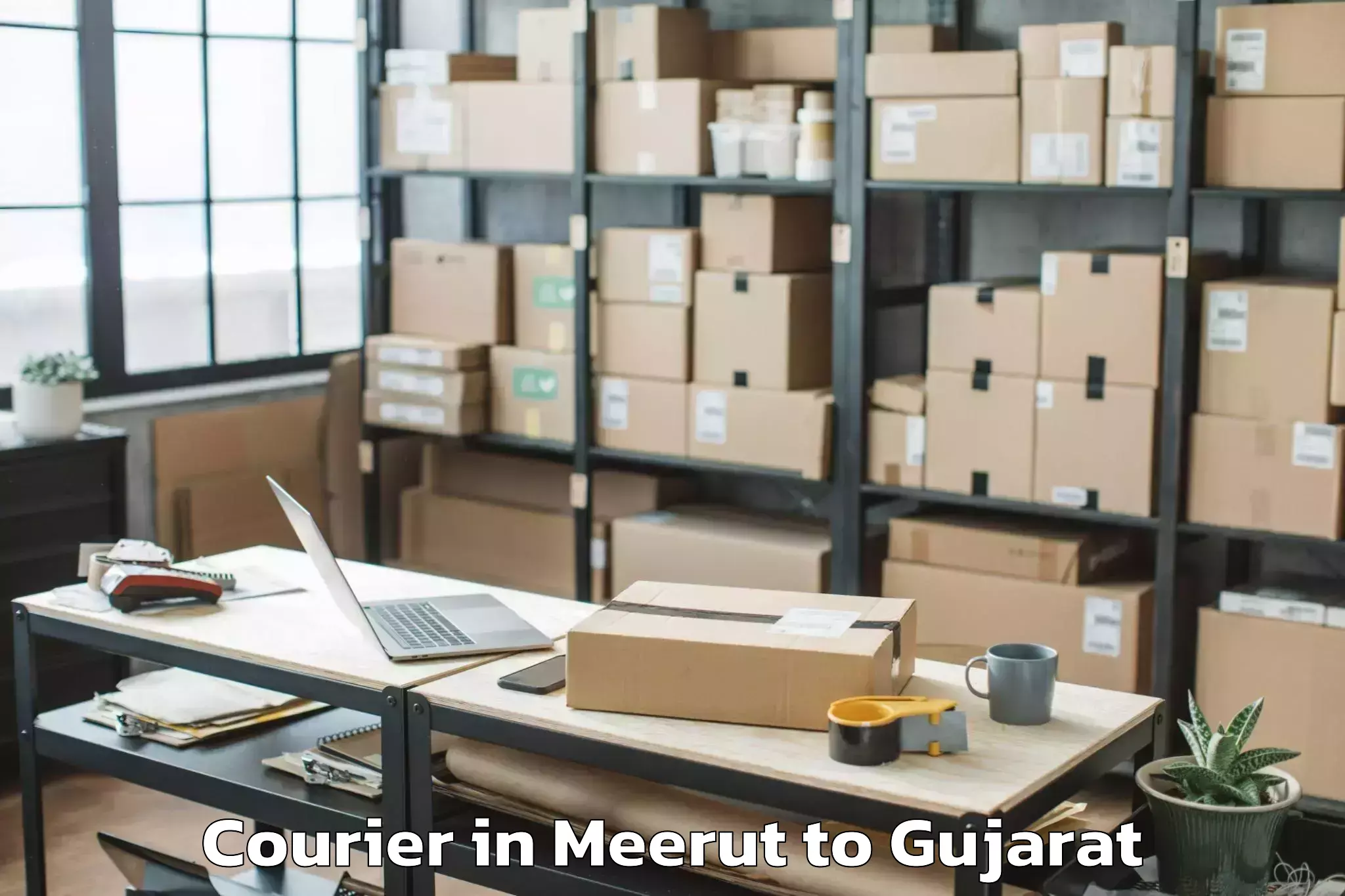 Professional Meerut to Nit Surat Courier